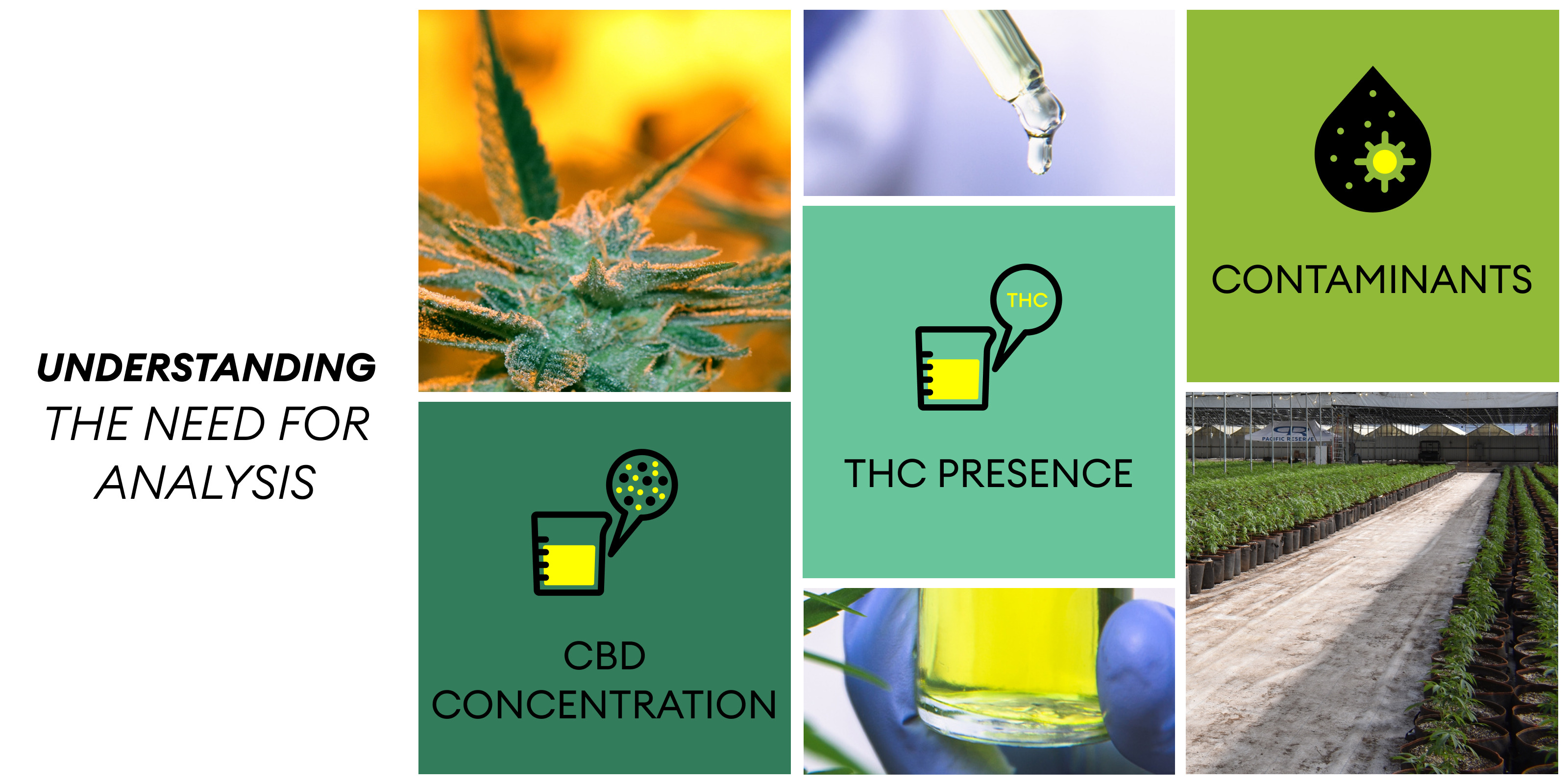 cbd oil products in India